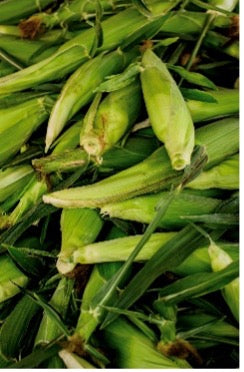 Sweet Corn - DOZEN